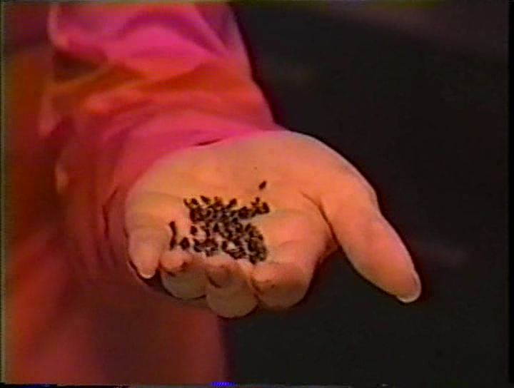 [1998] nijurokuyamairi.avi_20250728_195514.080