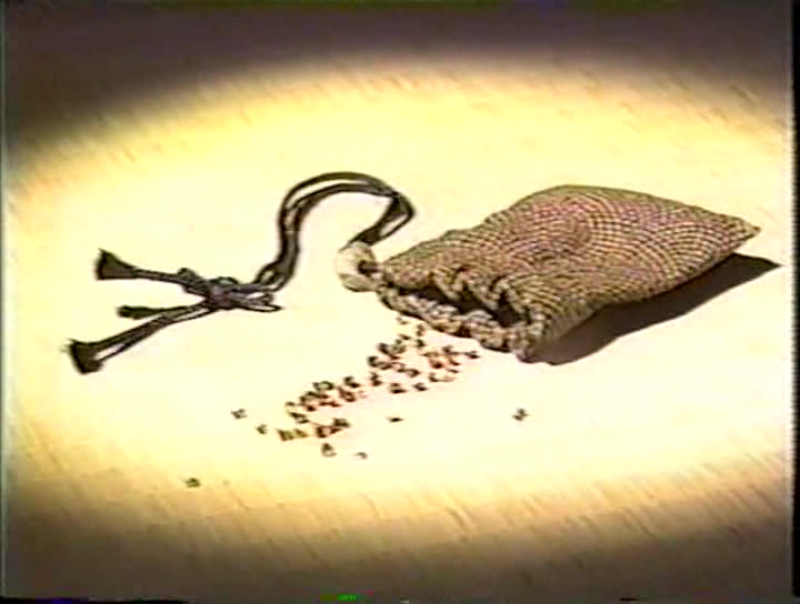 [1998] nijurokuyamairi.avi_20250728_201150.462