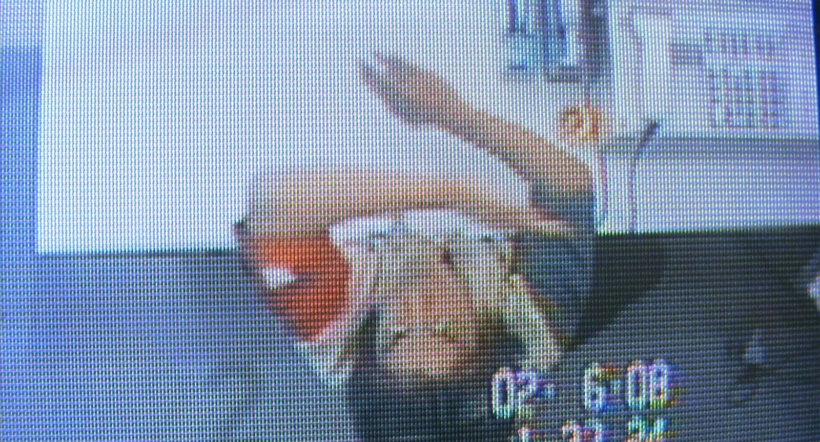 Ao.no.hono-o.2003.1080p.BluRay.DDP5.1.x264-PTer.mkv_20250805_105237.201