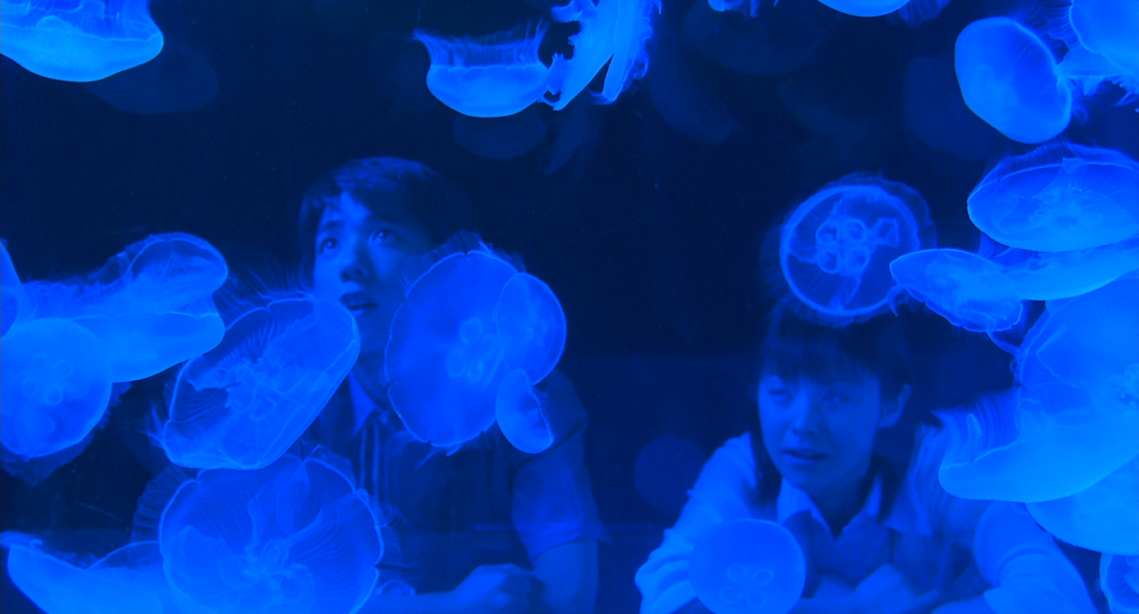 Ao.no.hono-o.2003.1080p.BluRay.DDP5.1.x264-PTer.mkv_20250805_105506.244