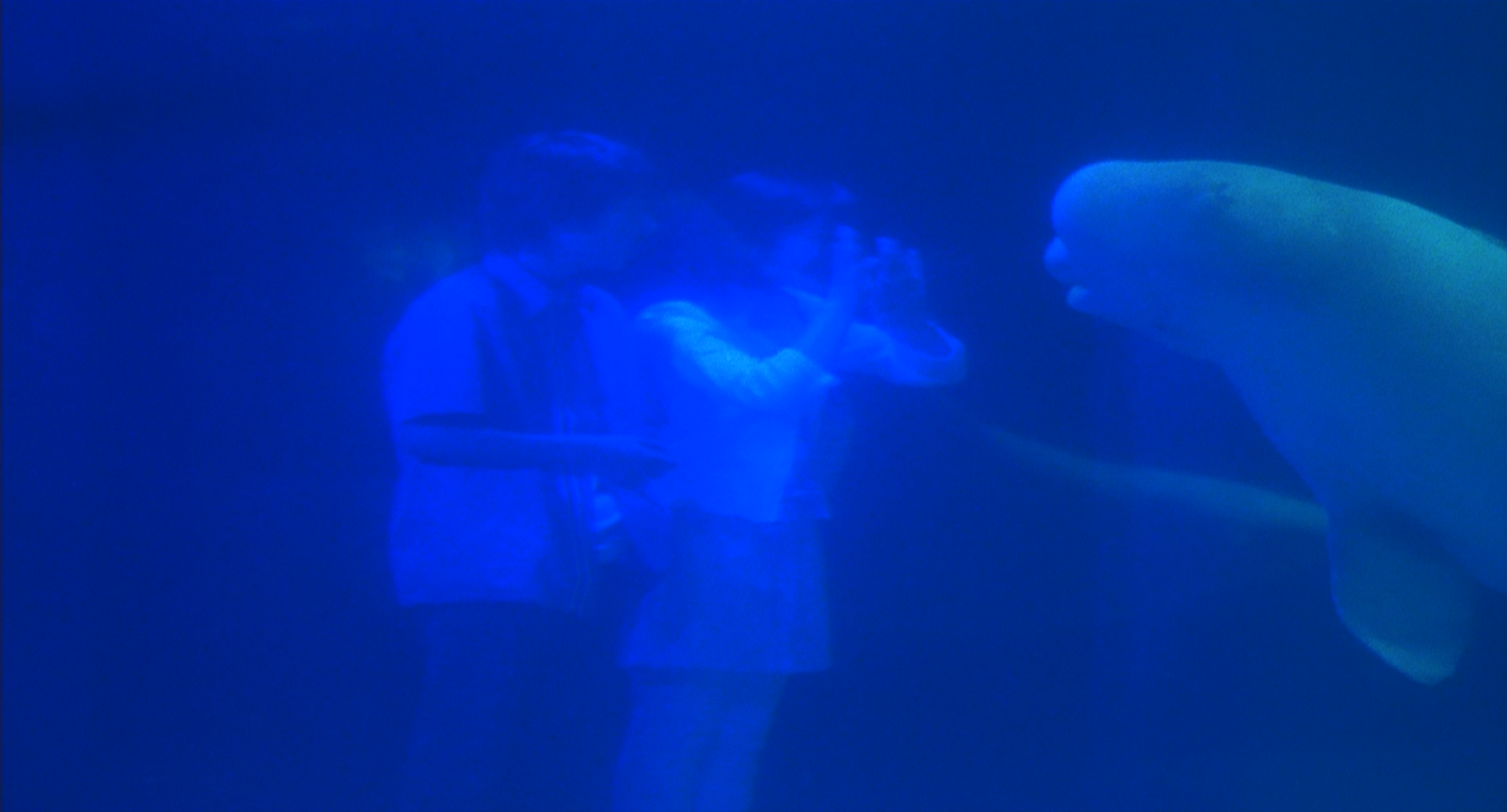 Ao.no.hono-o.2003.1080p.BluRay.DDP5.1.x264-PTer.mkv_20250805_105508.576