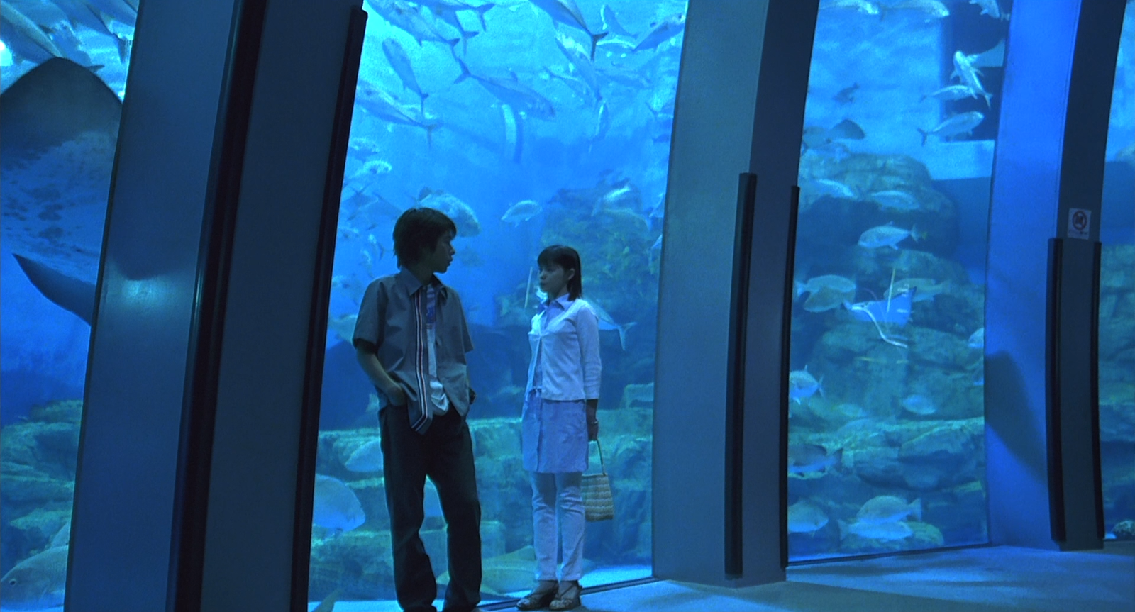 Ao.no.hono-o.2003.1080p.BluRay.DDP5.1.x264-PTer.mkv_20250805_105647.982