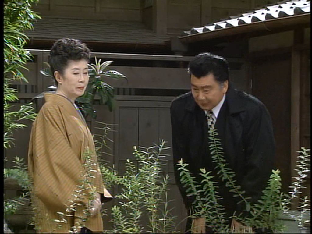 Hitsuyo no Nai Hito 12.avi_002556821