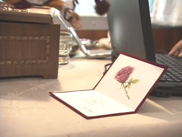 KIN SP_20250731_134646.818