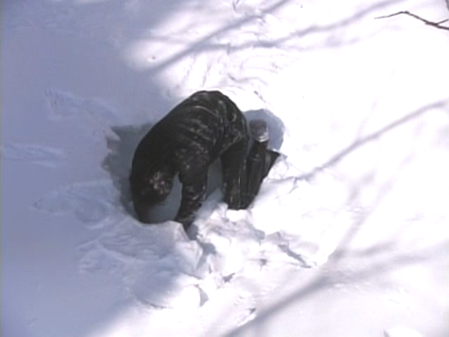 KIN SP_20250731_144525.727