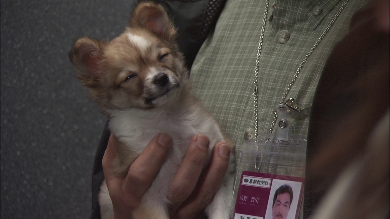 PETTO EP01_20250326_160753.523