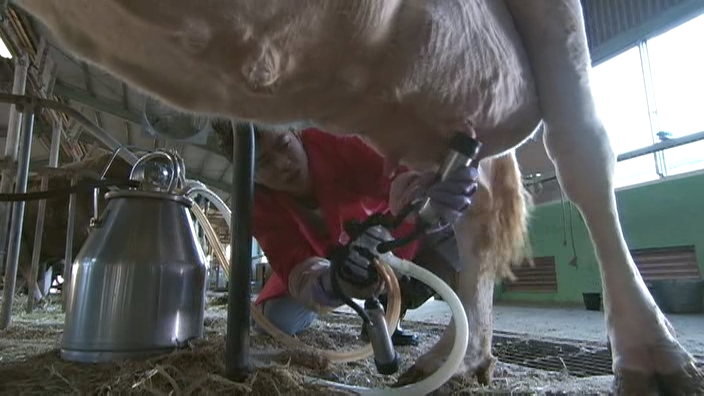 Yankee Bokou ni Kaeru (704x396) SP.avi_20250914_222733.902