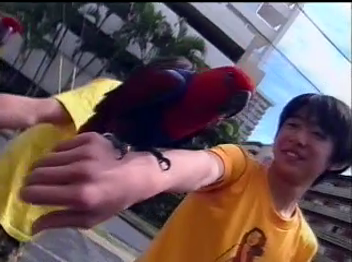 snap-2024-10-30-19h17m31s937