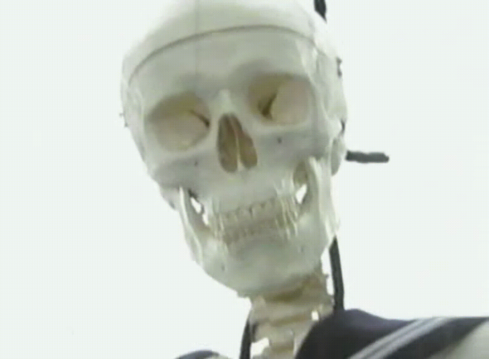 あぶない放課後 01 [480x352 DivX].avi_000154166