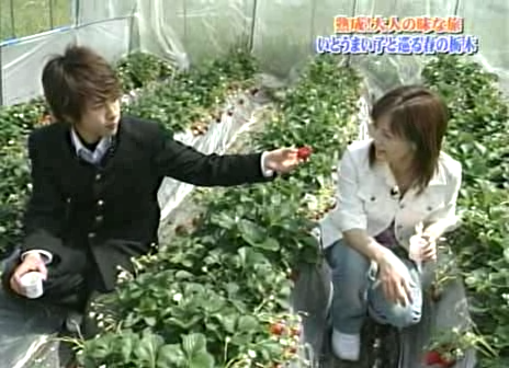 03 Arashi no Waza Ari - 04.04.17 - Ep 003.avi_20250720_122643.421