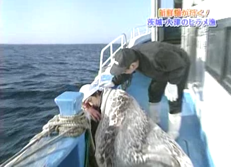 05 Arashi no Waza Ari - 04.05.01 - Ep 005.avi_20250720_214941.600