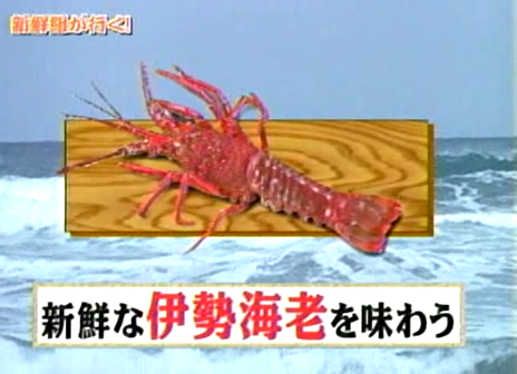 10 AraWaza (20040605).avi_20250807_214344.859