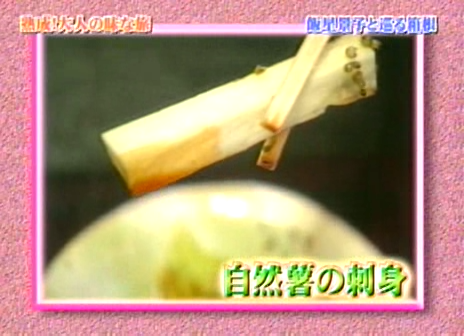 12 AraWaza (20040619).avi_20250808_212244.001