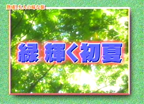 13 AraWaza (20040626).avi_20250808_222033.202