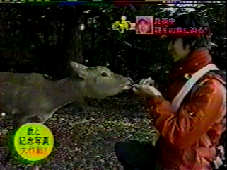 14 [眞夜中の嵐] #014 大阪 冬の陣 by.Jun (02.01.09).mpg_001103946