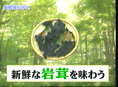 18 AraWaza (20040731).avi_20250813_191528.087