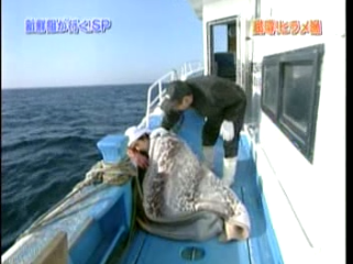 20 AraWaza (20040821).mpg_20250813_231315.473