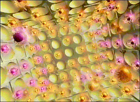 2000.11.08 Music Enta - Special Guest 嵐 02.avi_20250823_211924.684