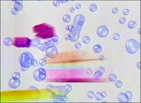 2000.11.08 Music Enta - Special Guest 嵐 02.avi_20250823_212611.536