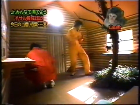 20000119 aiba and nino monkey.mp4_20250813_112136.670