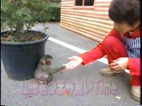 20000119 aiba and nino monkey.mp4_20250813_112230.708