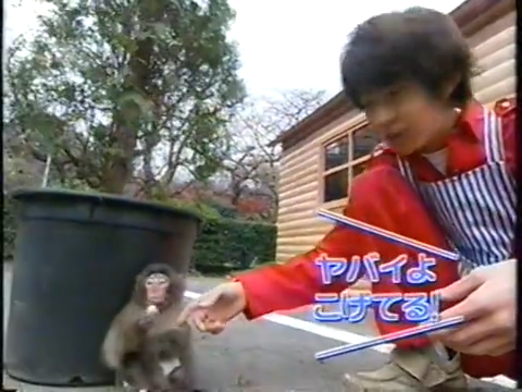 20000119 aiba and nino monkey.mp4_20250813_112248.529