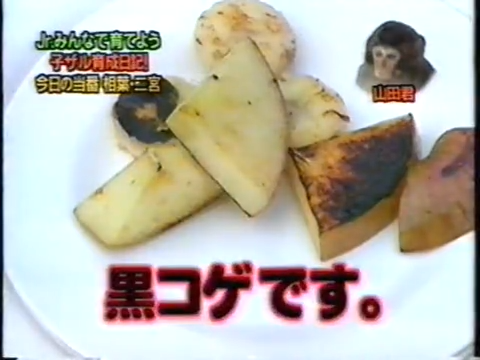 20000119 aiba and nino monkey.mp4_20250813_112256.382