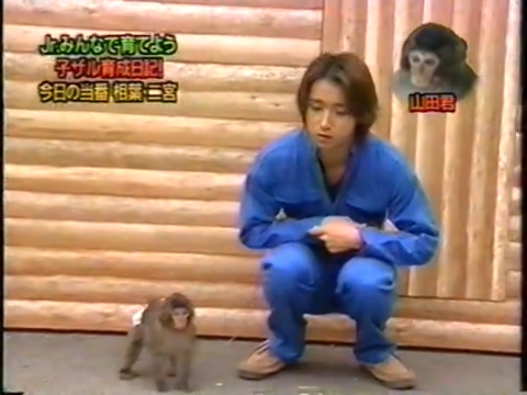 20000119 aiba and nino monkey.mp4_20250813_112613.142
