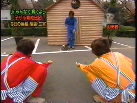 20000119 aiba and nino monkey.mp4_20250813_112616.838