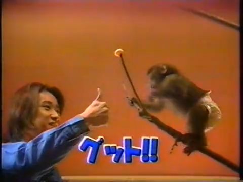 20000119 aiba and nino monkey.mp4_20250813_112803.448
