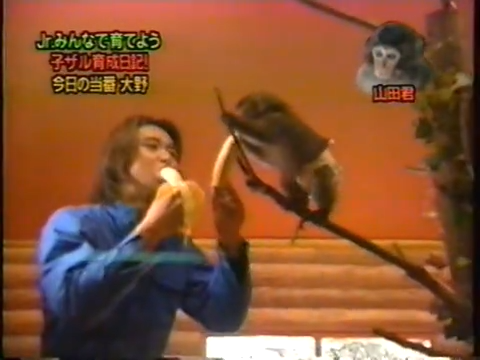 20000119 aiba and nino monkey.mp4_20250813_112822.497