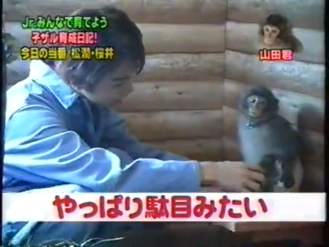 20000126 jun and sho monkey.mp4_20250813_113409.369
