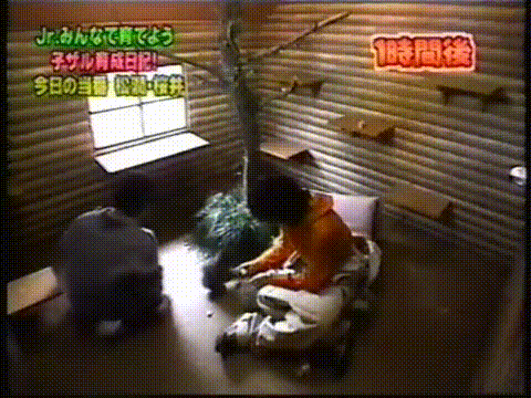 20000126 jun and sho monkey.mp4_20250813_113415.139