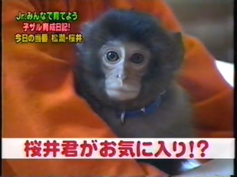 20000126 jun and sho monkey.mp4_20250813_113421.113