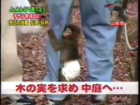 20000126 jun and sho monkey.mp4_20250813_113450.583