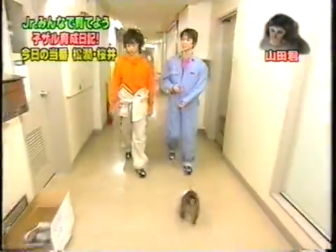 20000126 jun and sho monkey.mp4_20250813_113632.145