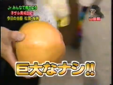 20000126 jun and sho monkey.mp4_20250813_113654.327