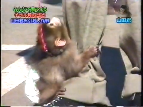 20000209 Sho and Ohno monkey.mp4_20250813_114229.694