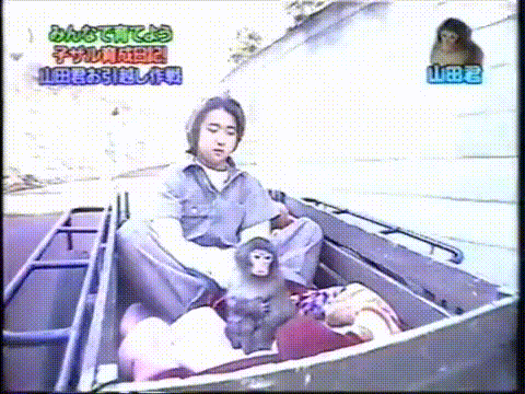20000209 Sho and Ohno monkey.mp4_20250813_114408.231