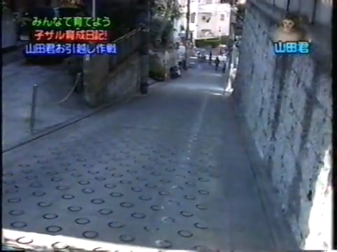 20000209 Sho and Ohno monkey.mp4_20250813_114418.792