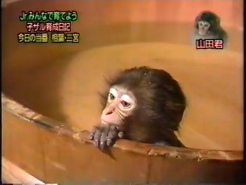 20000223 Yattaru J nino and aiba.mp4_20250813_115409.668