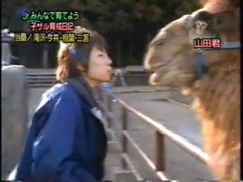 20000223 Yattaru J nino and aiba.mp4_20250813_115557.476