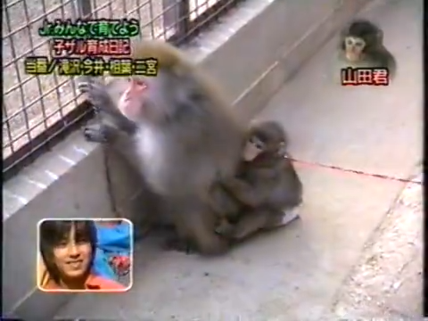 20000223 Yattaru J nino and aiba.mp4_20250813_115735.938