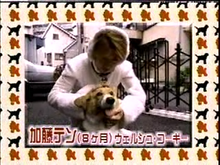 [2002.07.21] Inu no Kimochini Nattemimashita WanWan.avi_20250729_204423.080