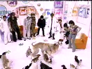 [2002.07.21] Inu no Kimochini Nattemimashita WanWan.avi_20250729_213341.998