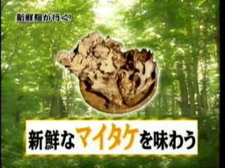 32 AraWaza (20041113).mpg_20250830_223547.550