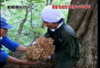 32 AraWaza (20041113).mpg_20250830_224528.747