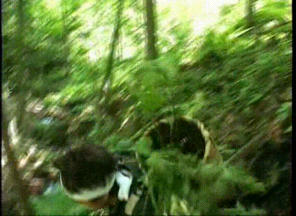 34 AraWaza (20041127).avi_20251214_194559.948