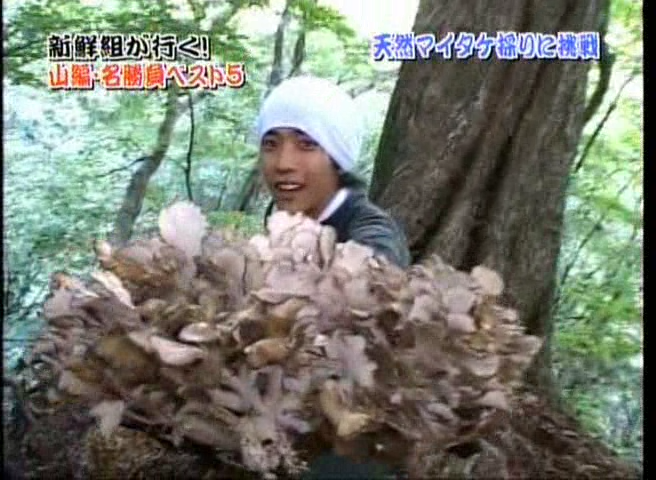 34 AraWaza (20041127).avi_20251214_195416.022