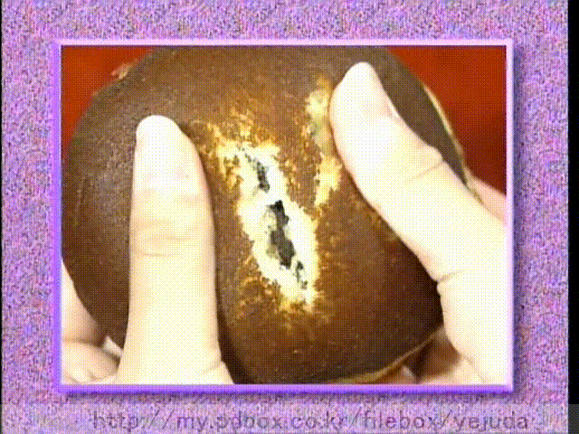 40 AraWaza (20050108).avi_20250901_084625.673